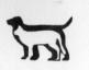 CENTRO MEDICO VETERINARIO