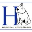 CLINICA VETERINARIA EME