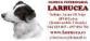 CLINICA VETERINARIA LARRUCEA