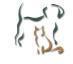 HOSPITAL VETERINARIO MADRID SUR
